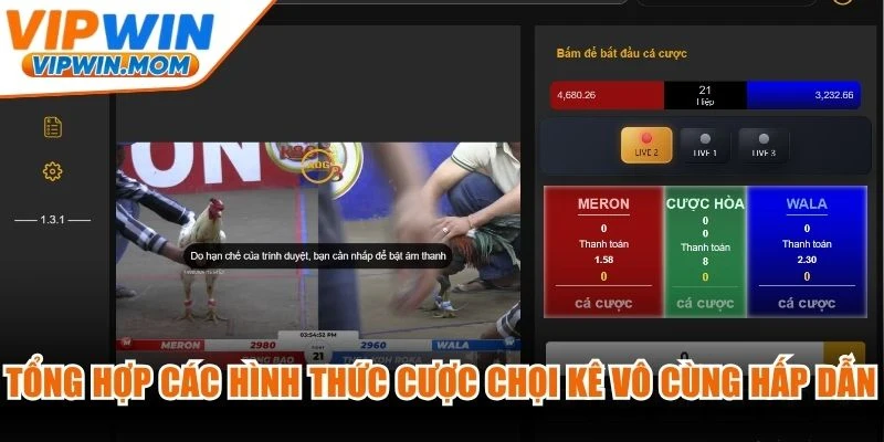 Tổng hợp các hình thức cược chọi kê vô cùng hấp dẫn tại nhà cái VIPWIN