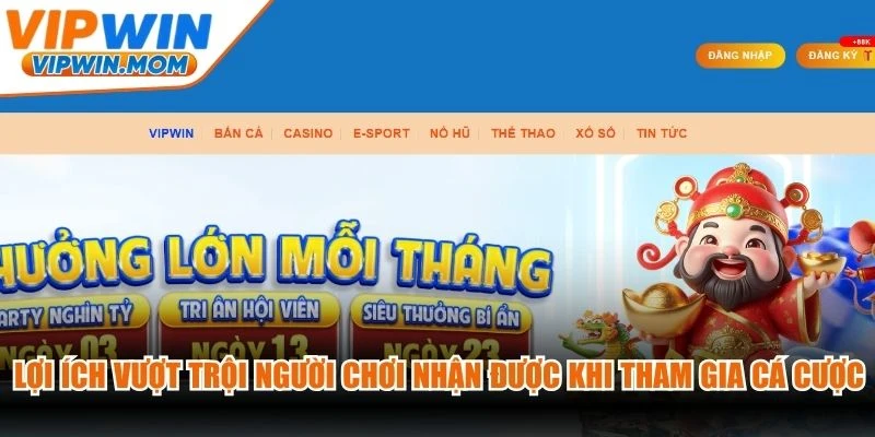 Lợi ích vượt trội người chơi nhận được khi tham gia cá cược tại VIPWIN