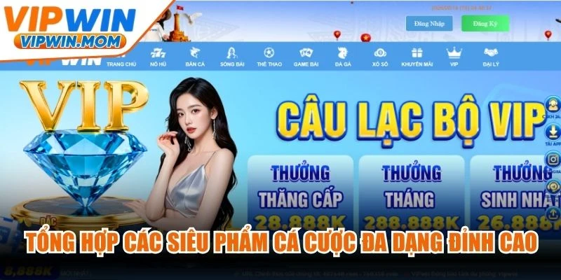 Tổng hợp các siêu phẩm cá cược đa dạng đỉnh cao tại thương hiệu VIPWIN