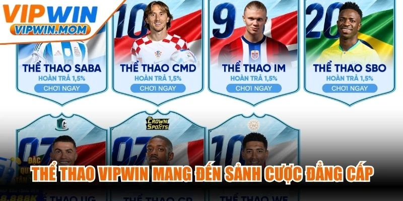 Thể thao VIPWIN mang đến sảnh cược đẳng cấp cho quý hội viên giải trí